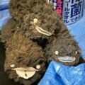 商業施設「マル―ト」で黒板アート！